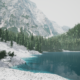 Lushfoil Photography Sim